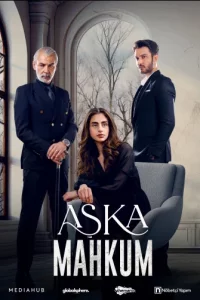 Заключенный любви турецкий сериал
